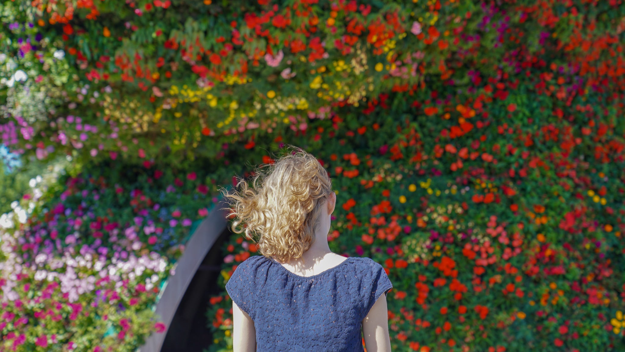 A person looks at a flowering sculpture