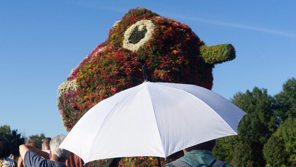 A person holds a parasol near Split-Rocker.