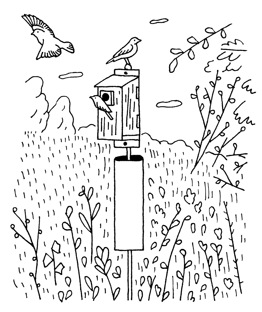 Line drawing of three birds in and around a bird house.