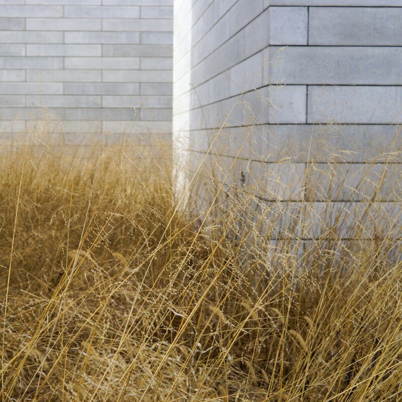 RS32055 DSC00239 scr