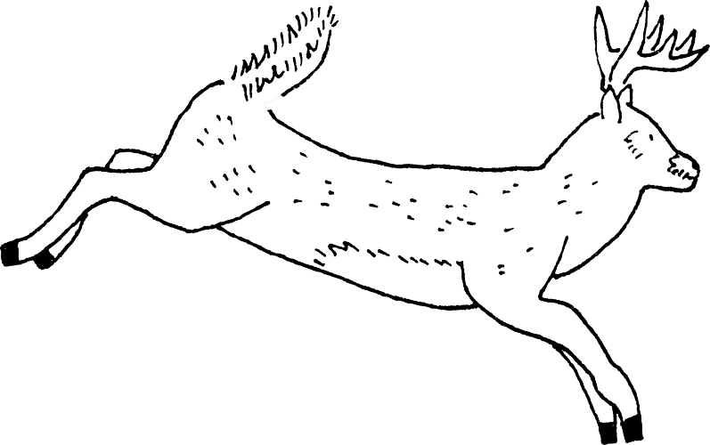 Line drawing of a deer.