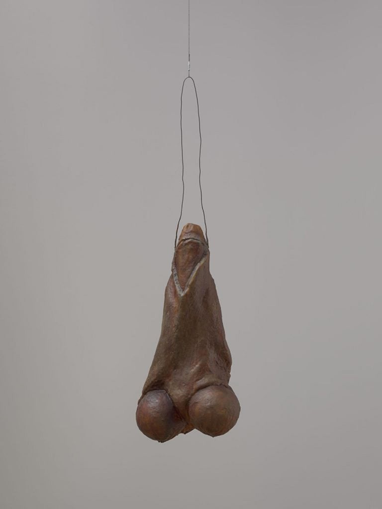 Un objeto de caucho de uretano pigmentado marrón suspendido en el techo, que evoca una representación figurativa orgánica y lasciva.