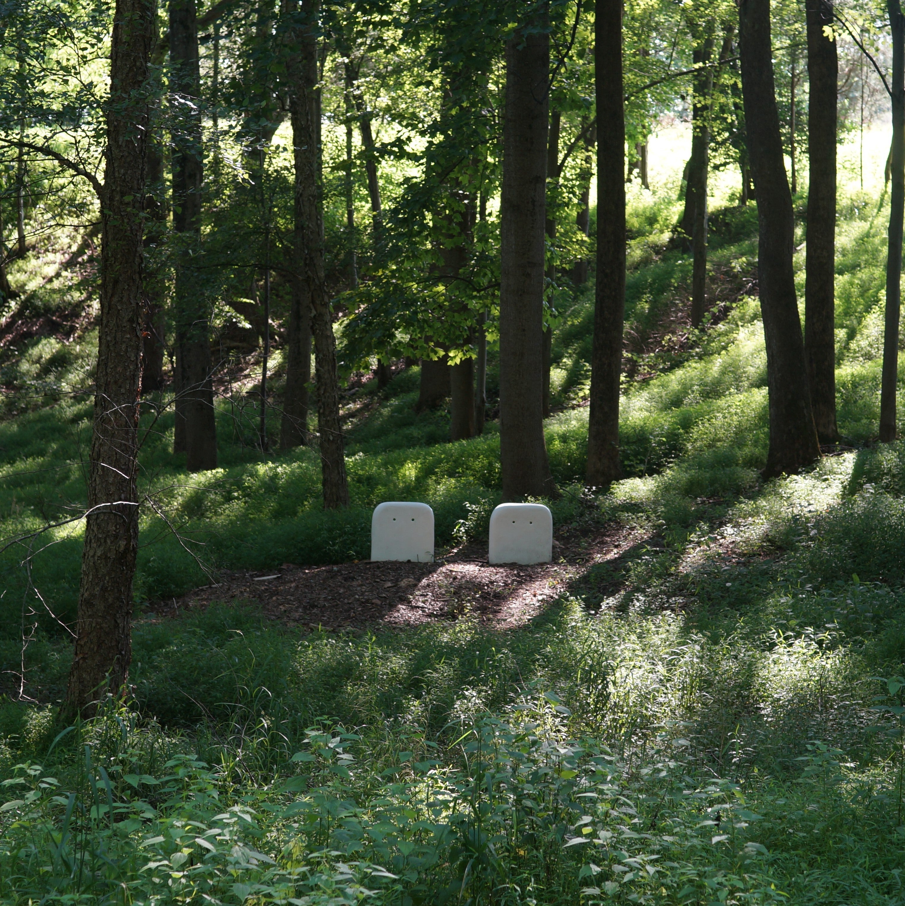 Dos esculturas blancas y minimalistas se encuentran entre una exuberante vegetación en un bosque sereno, rodeadas de árboles altos y luz solar moteada.