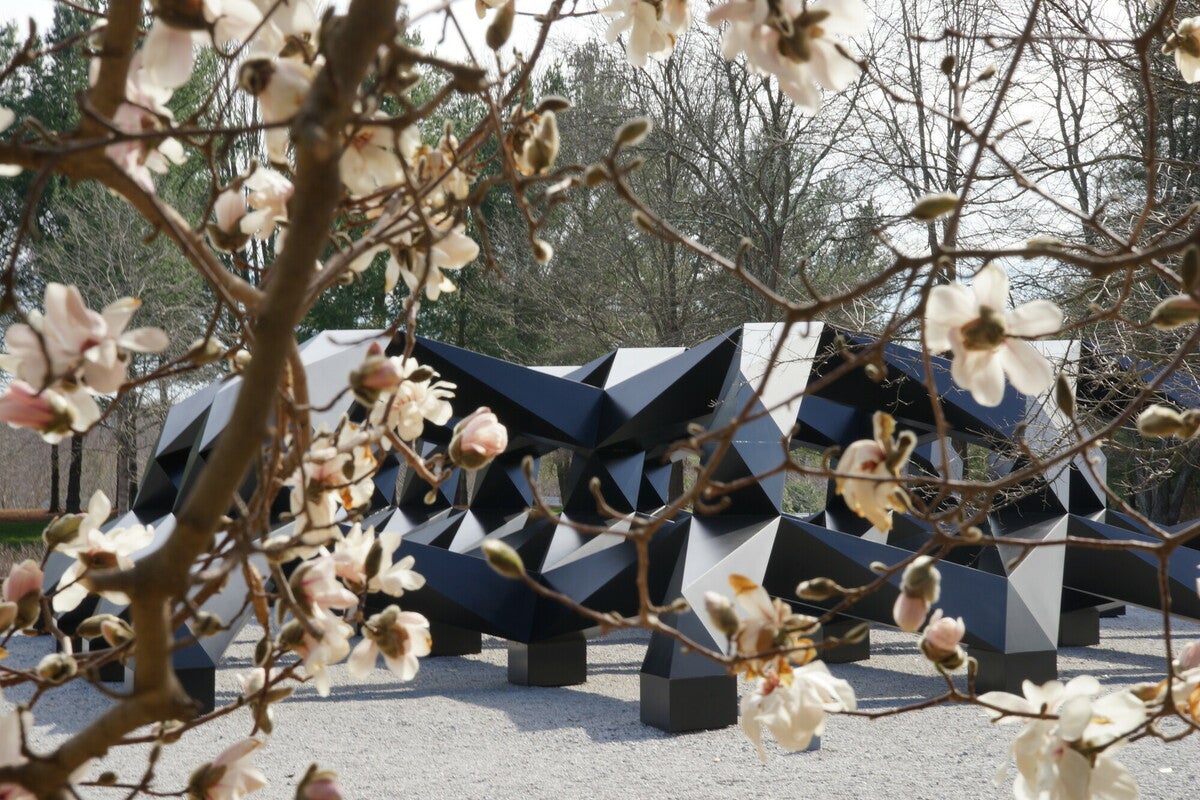 RS40021 DSC04503 scr