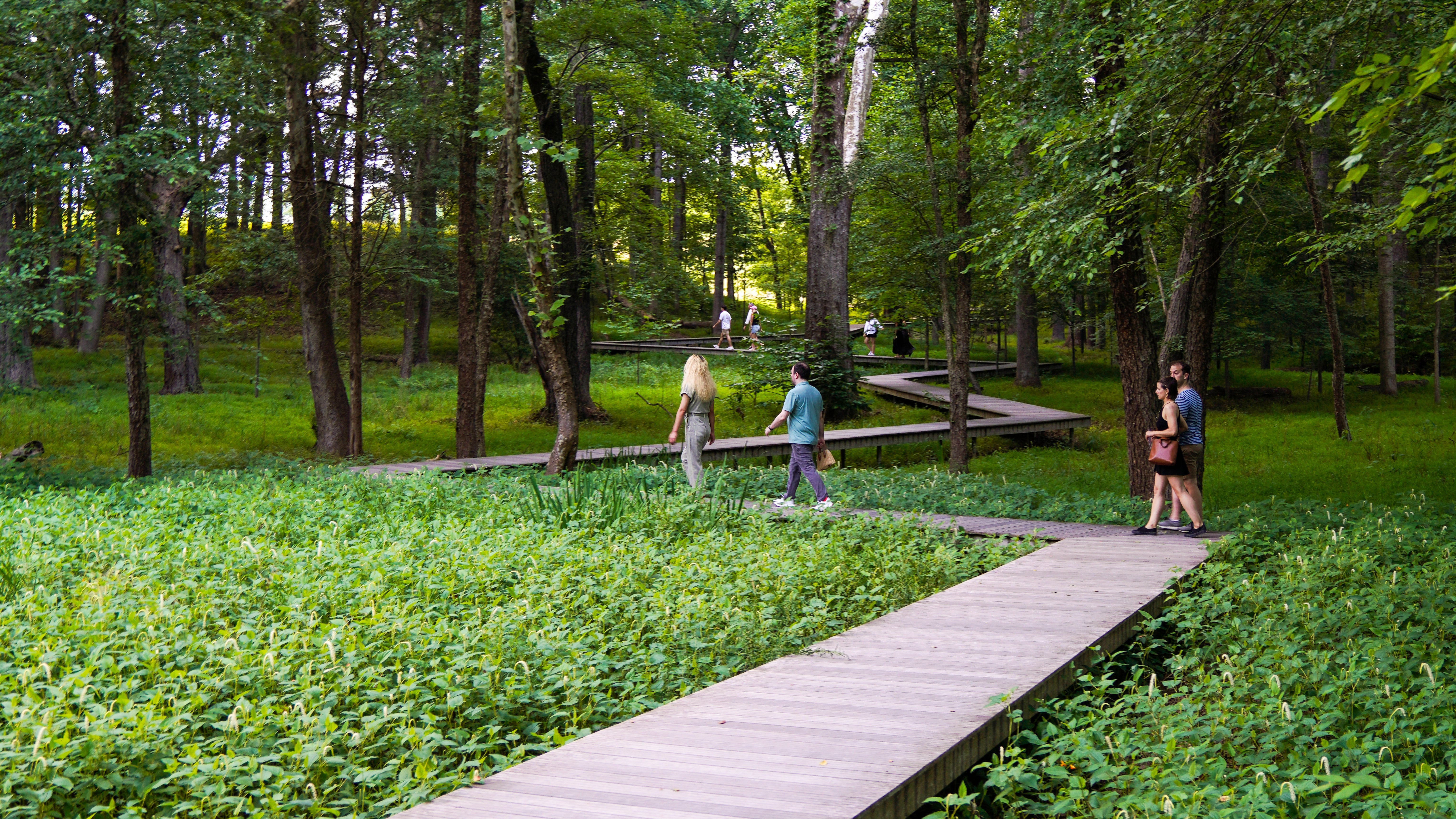 People walk across a boardwalk set amidst lush green landscape