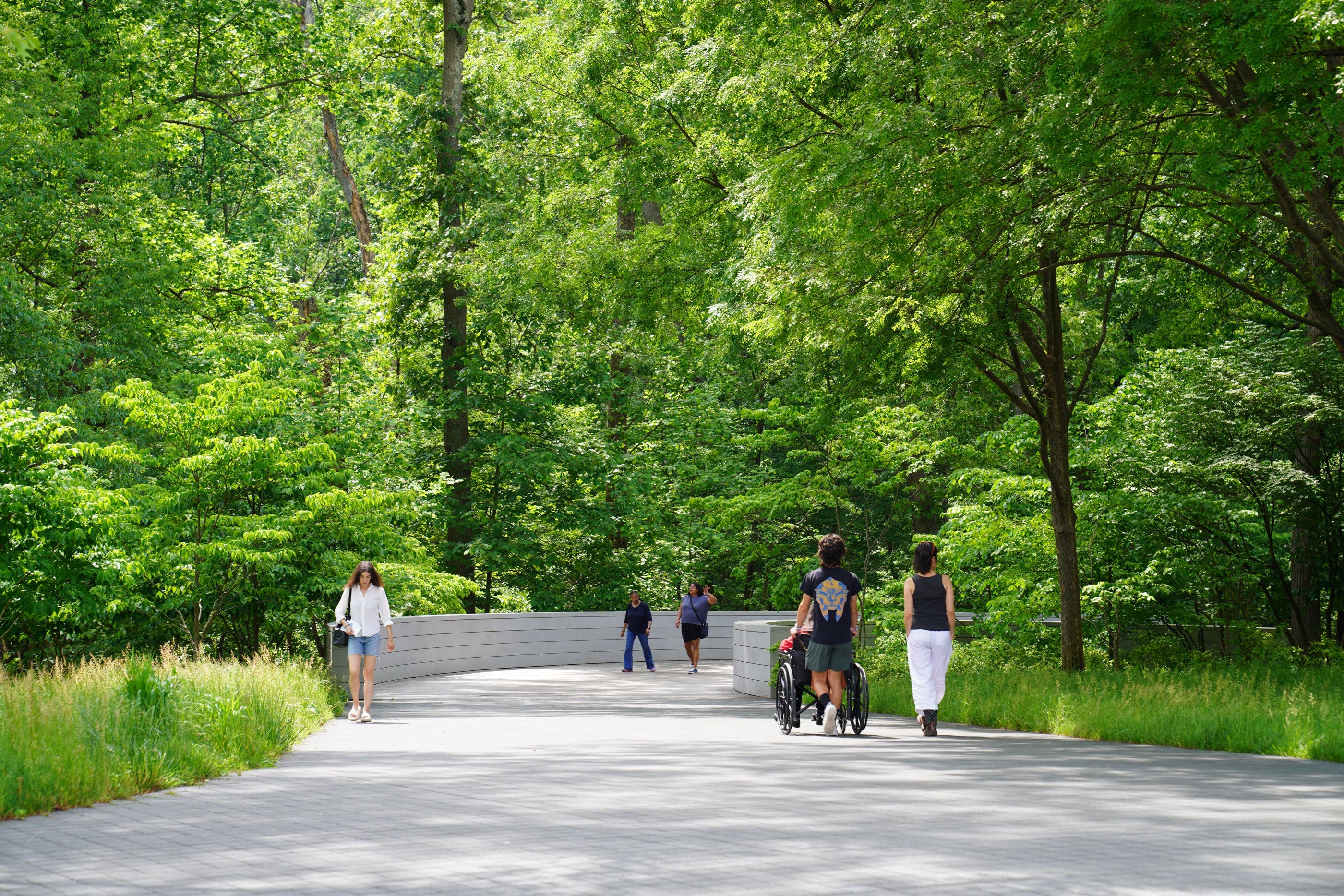 La gente camina por un puente rodeado de exuberante follaje verde