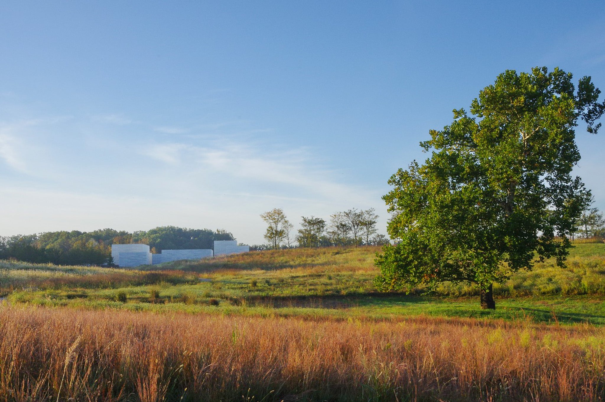 A beatiful meadow with a modern building in the background