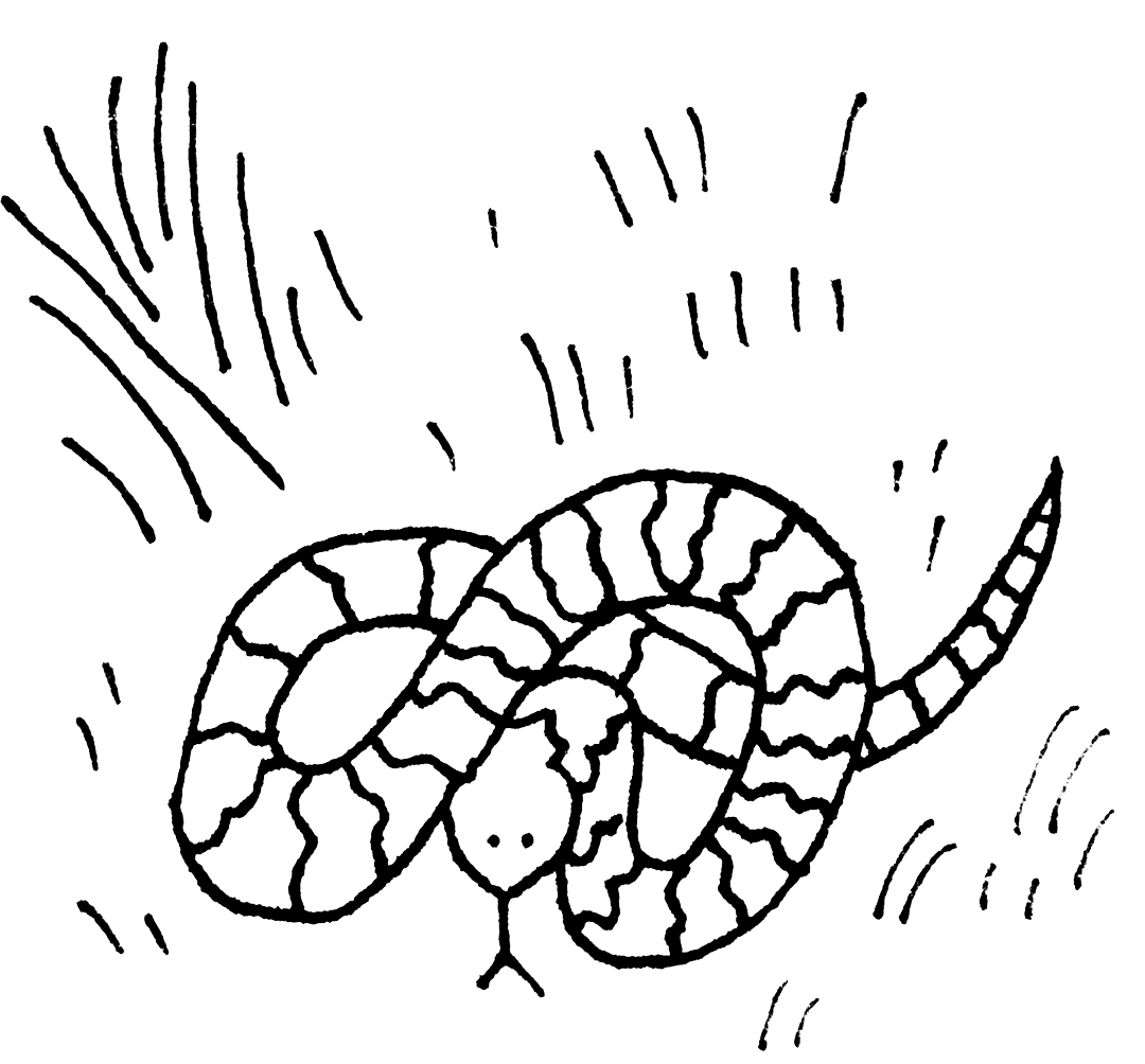 AWANj Serpiente de agua