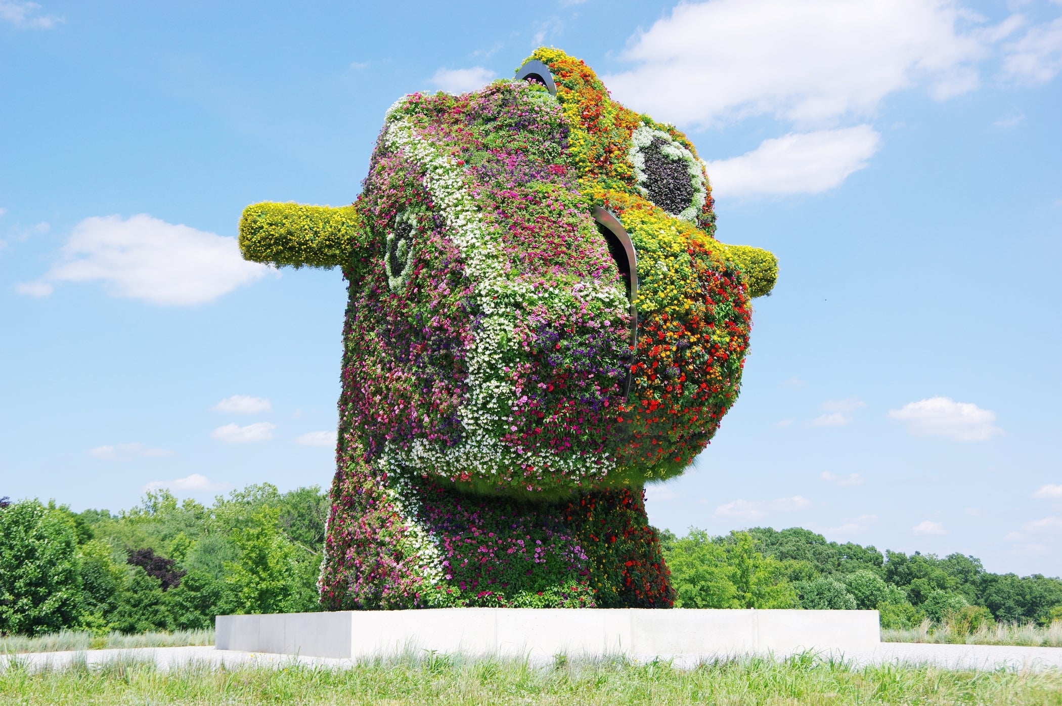 Large outdoor sculpture of a rocking hourse head covered in vibrant flowers