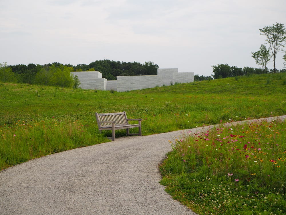 Summer Meadows at Glenstone