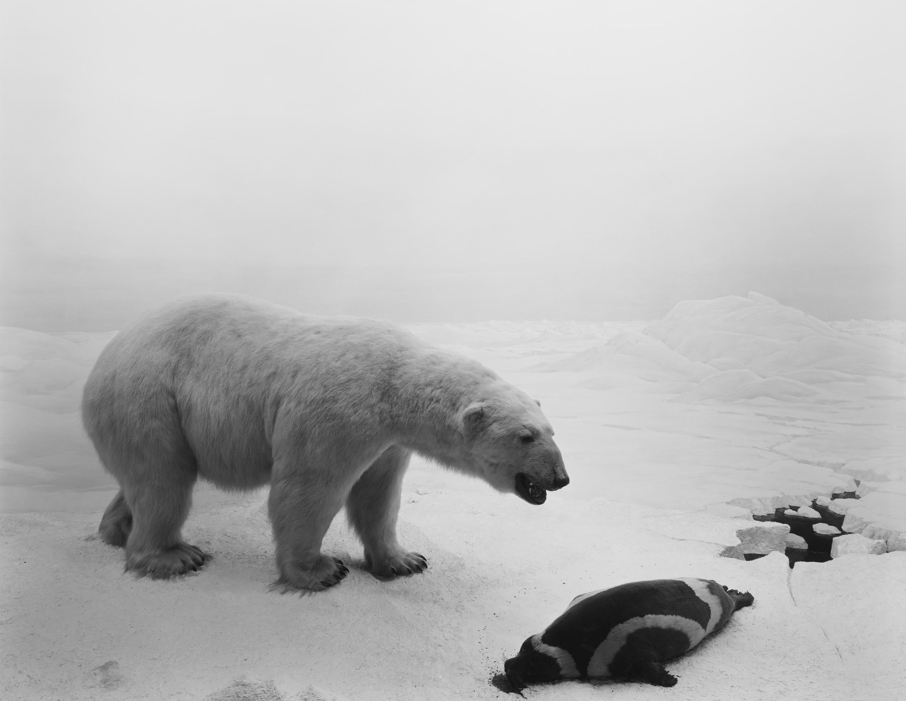 杉本博司 ポスター POLAR BEAR SUGIMOTO Hiroshi Sugimoto 杉本博司| Polar Bear 北極熊| Contemporary