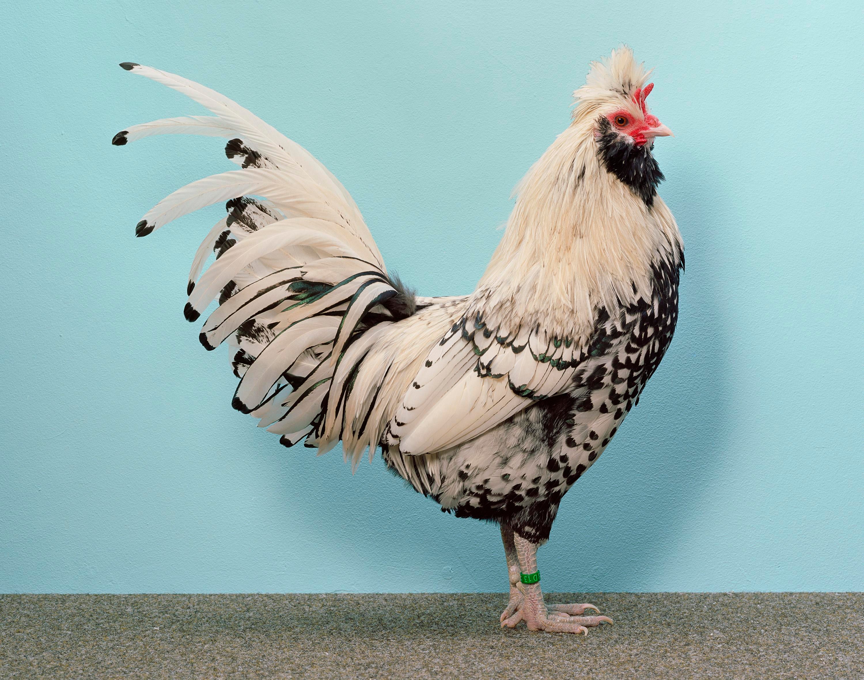 Christopher Williams - Glenstone