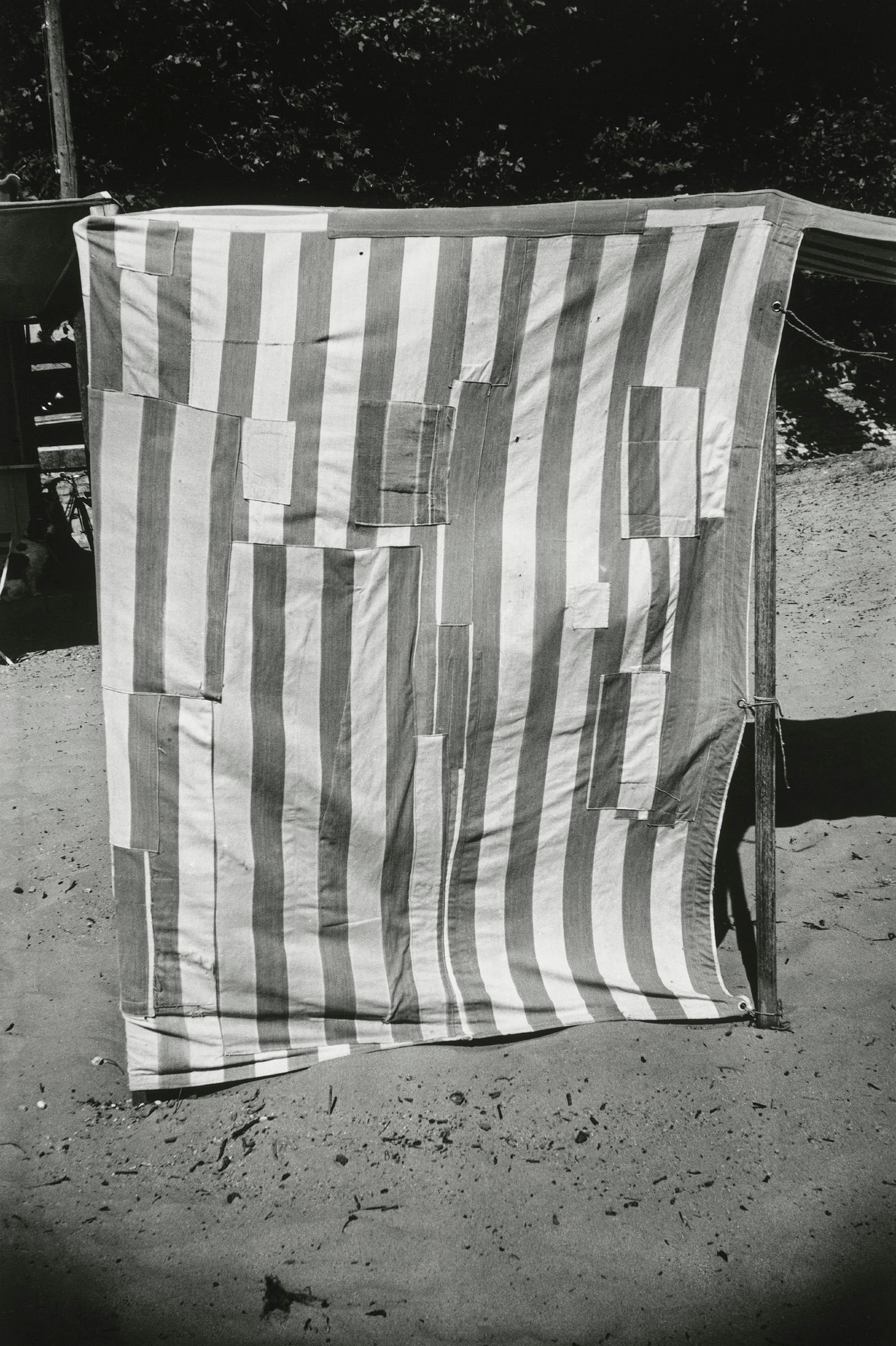 Ellsworth Kelly エルズワースケリー　Photographs Shape, Ground, Shadow: The Photographs of Ellsworth Kelly