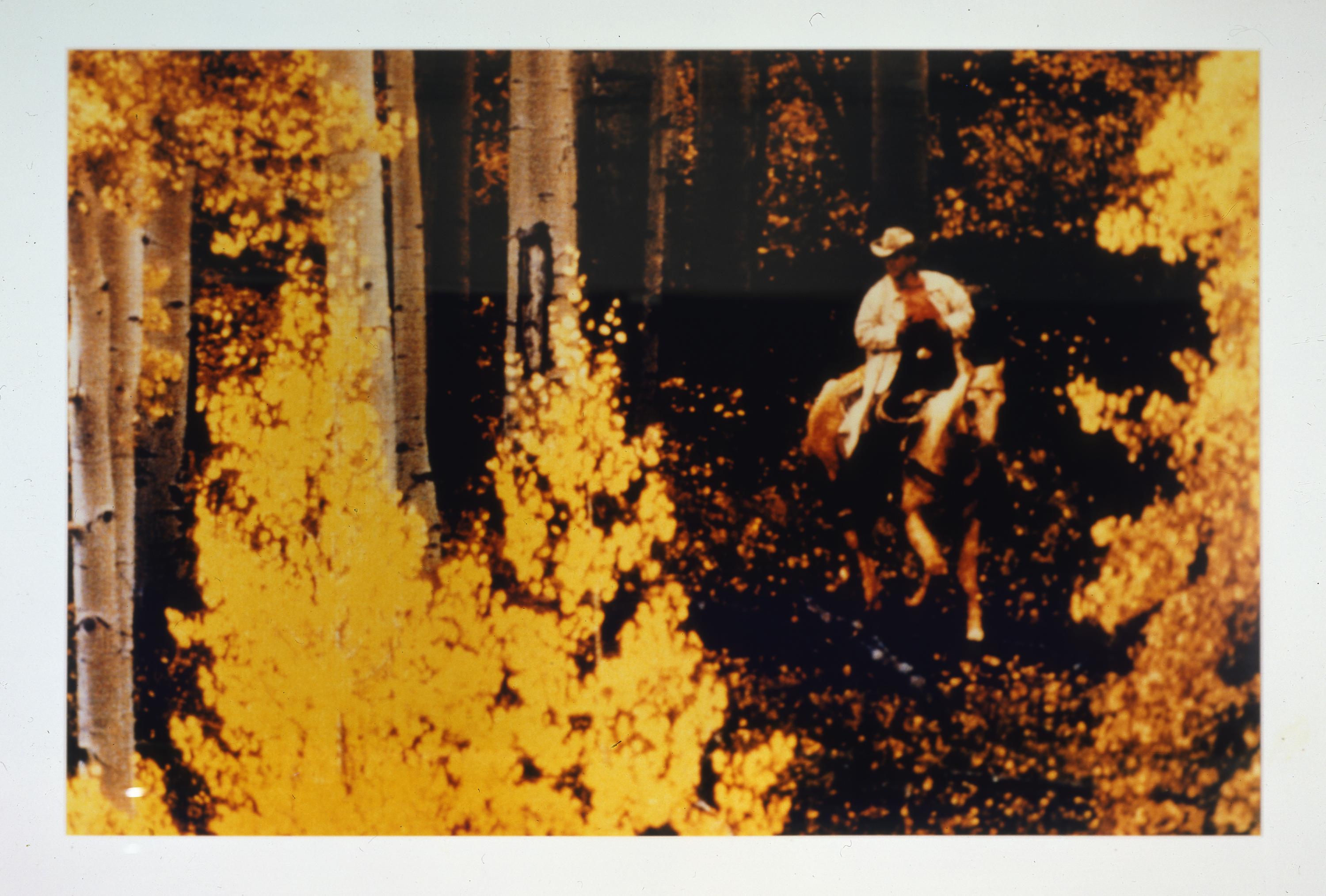アート・デザイン・音楽 American Prayer by RICHARD PRINCE Richard Prince: American Prayer - Rizzoli New York