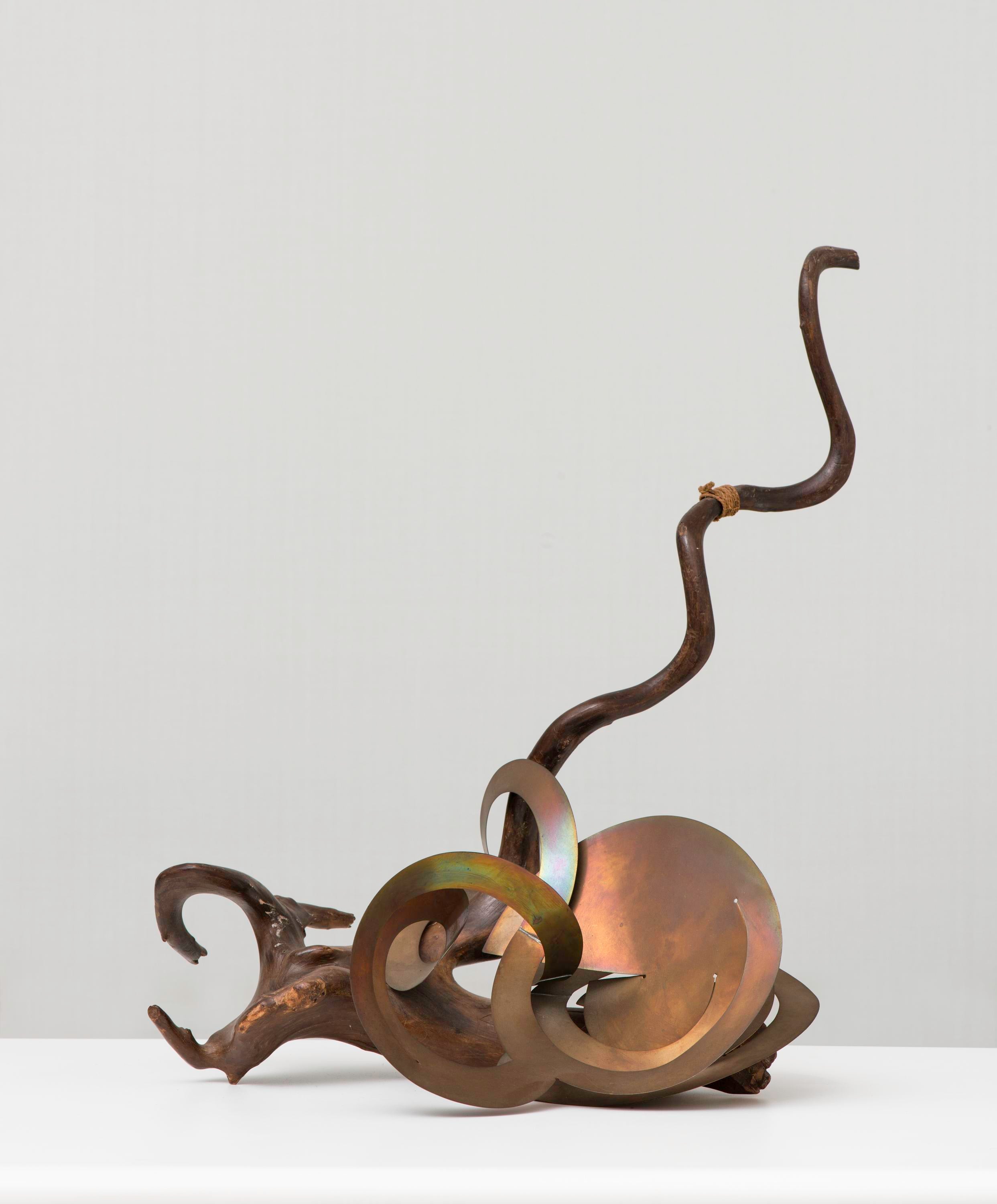 A natural-looking wooden branch reaches for the sky with circular cut-copper abstraction at the base.