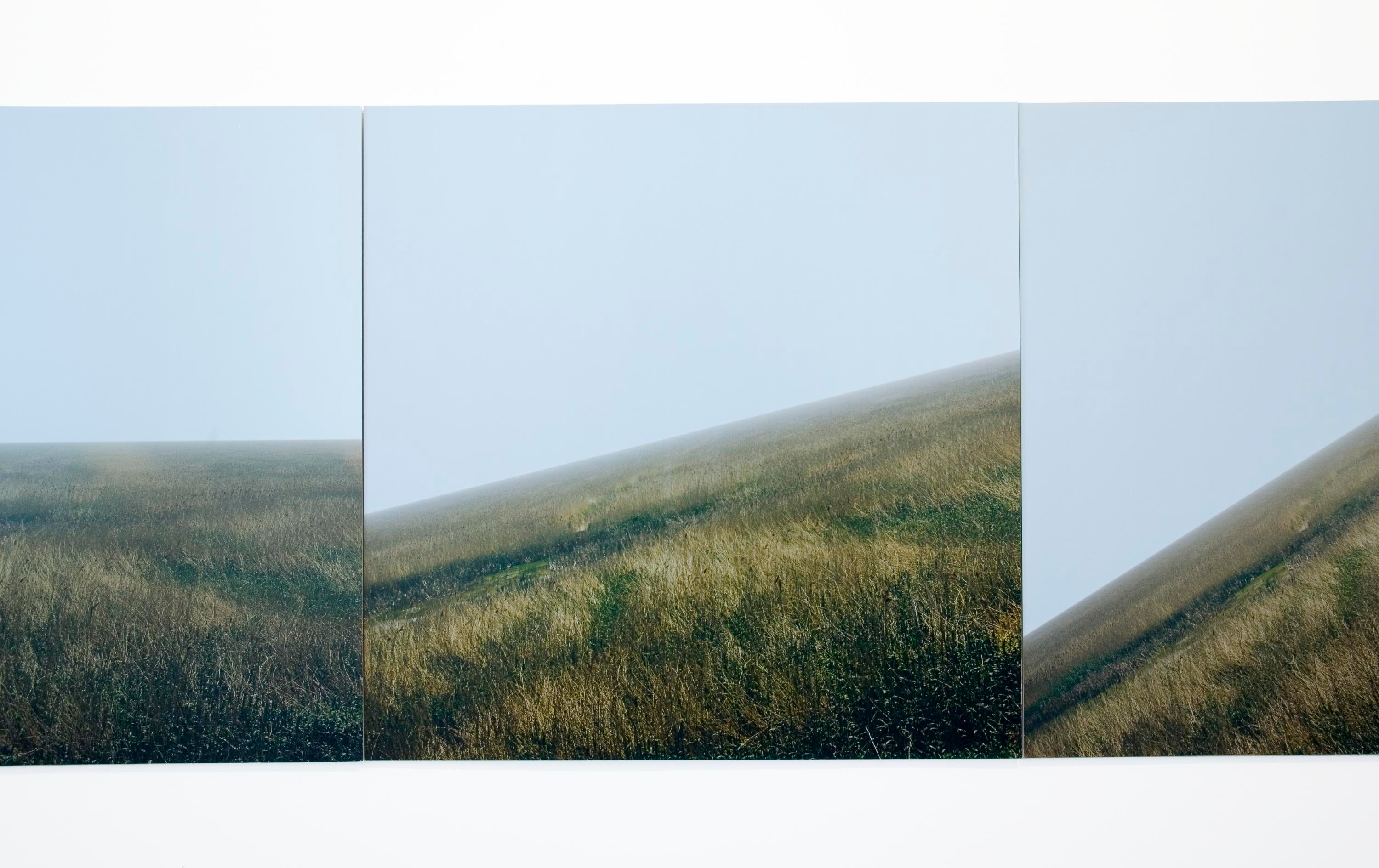 Jan Dibbets - Glenstone