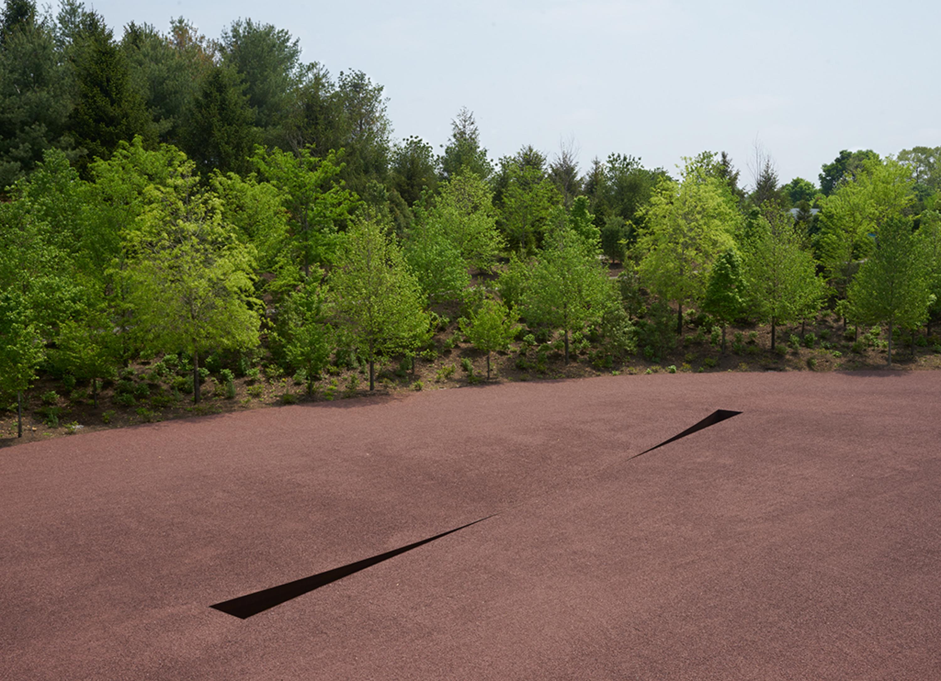 Seen from above, a large rust-covered expanse covers the ground with two thin triangular dark shapes in the middle; leafy trees appear in the background.