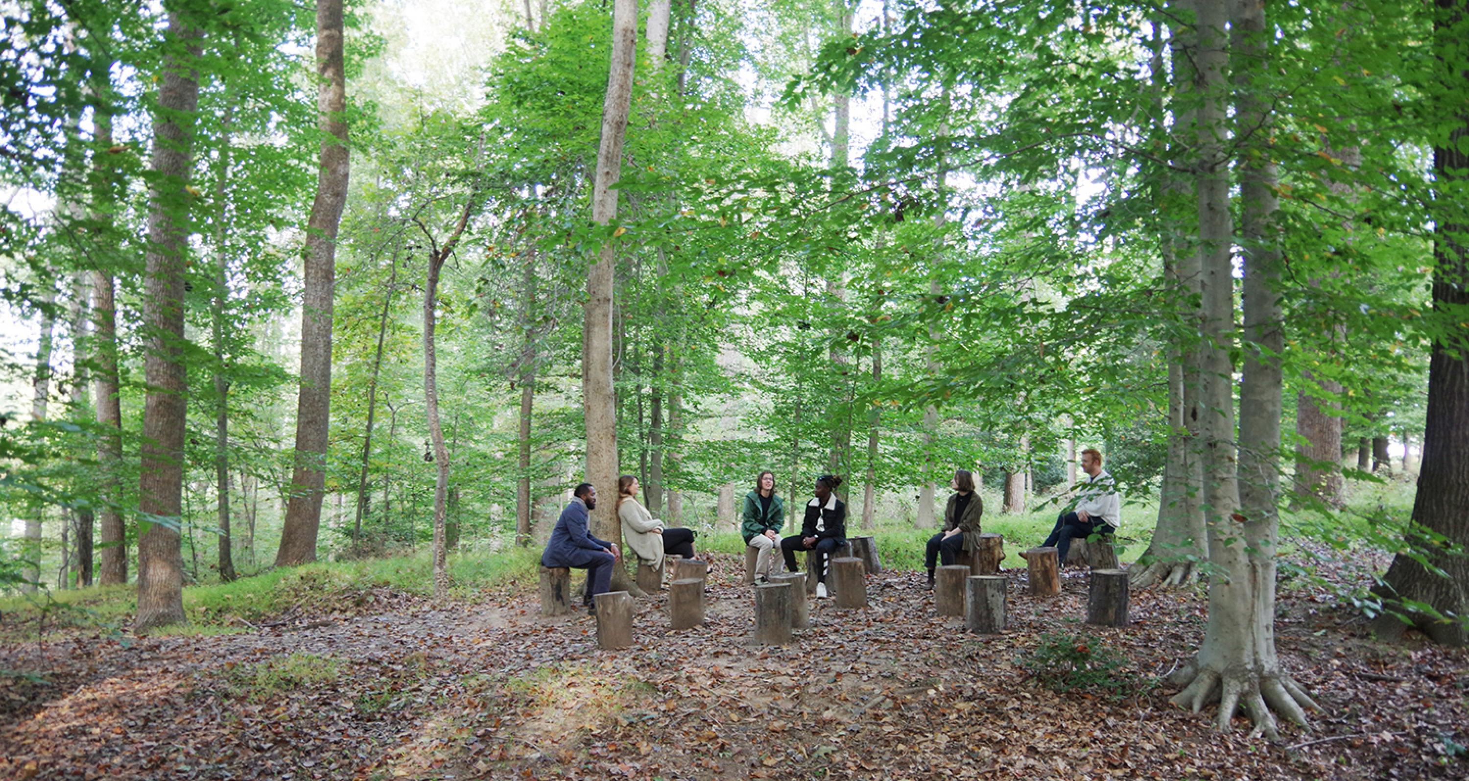 Six people sit on a collection of stumps in a clearing in a forest, surrounded by leafy trees with brown leaves on the ground.