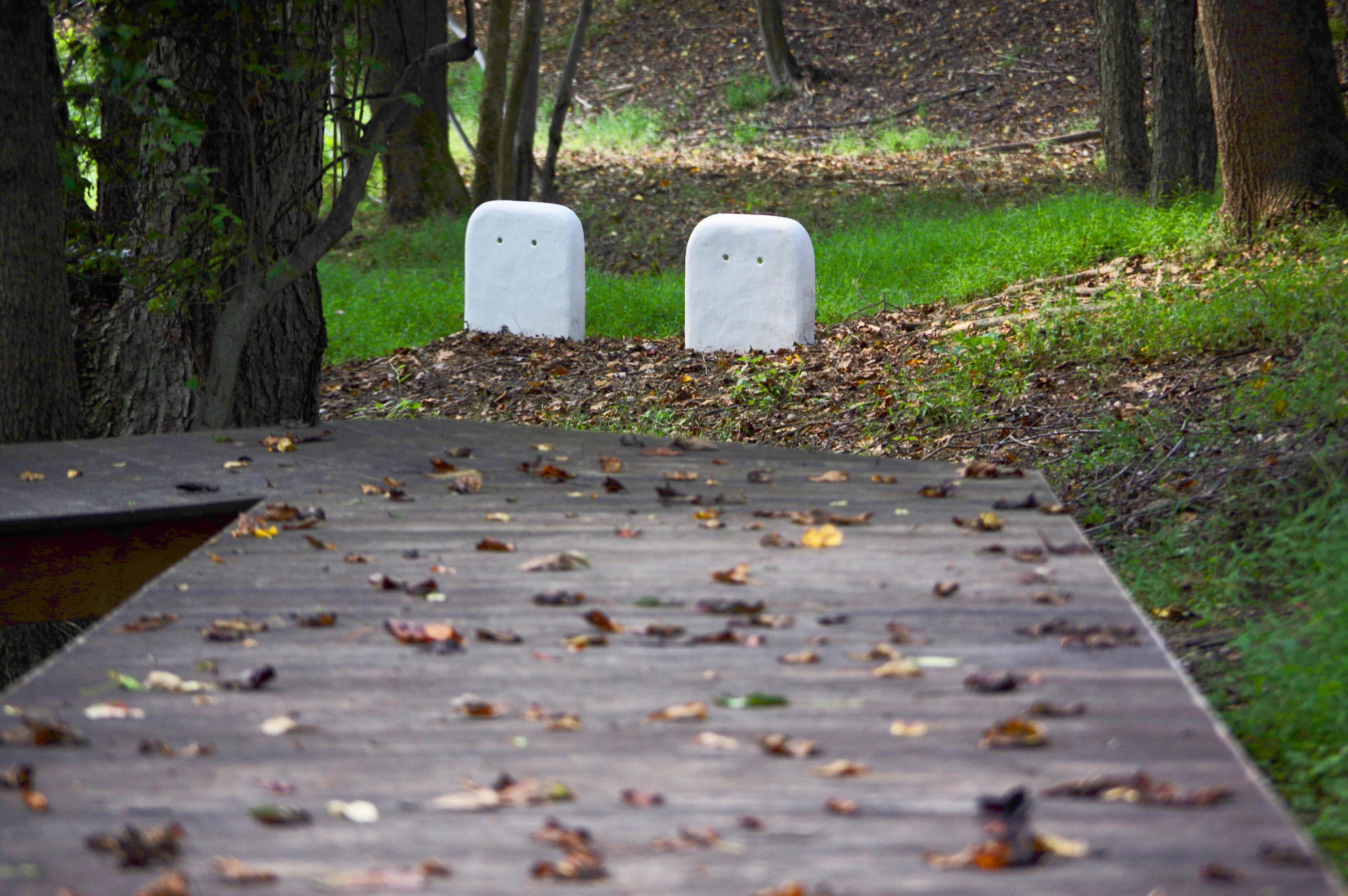 Two small sinks emerge from the ground surrounded by a forest.