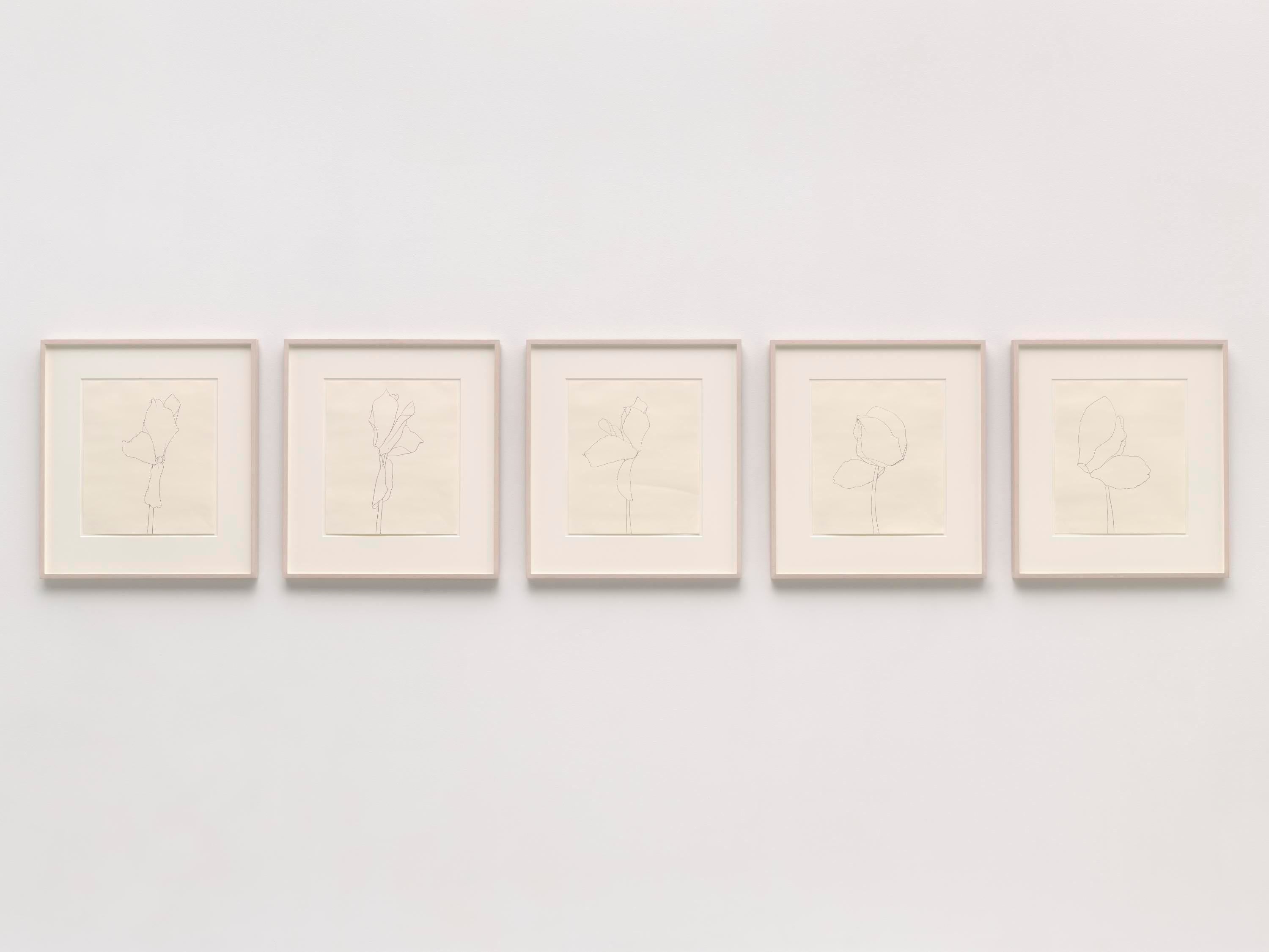 Cinco dibujos enmarcados de una flor de ciclamen desde diferentes ángulos cuelgan en una pared blanca.