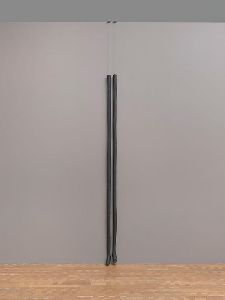 Patas largas, delgadas y de goma negra que cuelgan de una pared gris casi tocando el suelo de madera