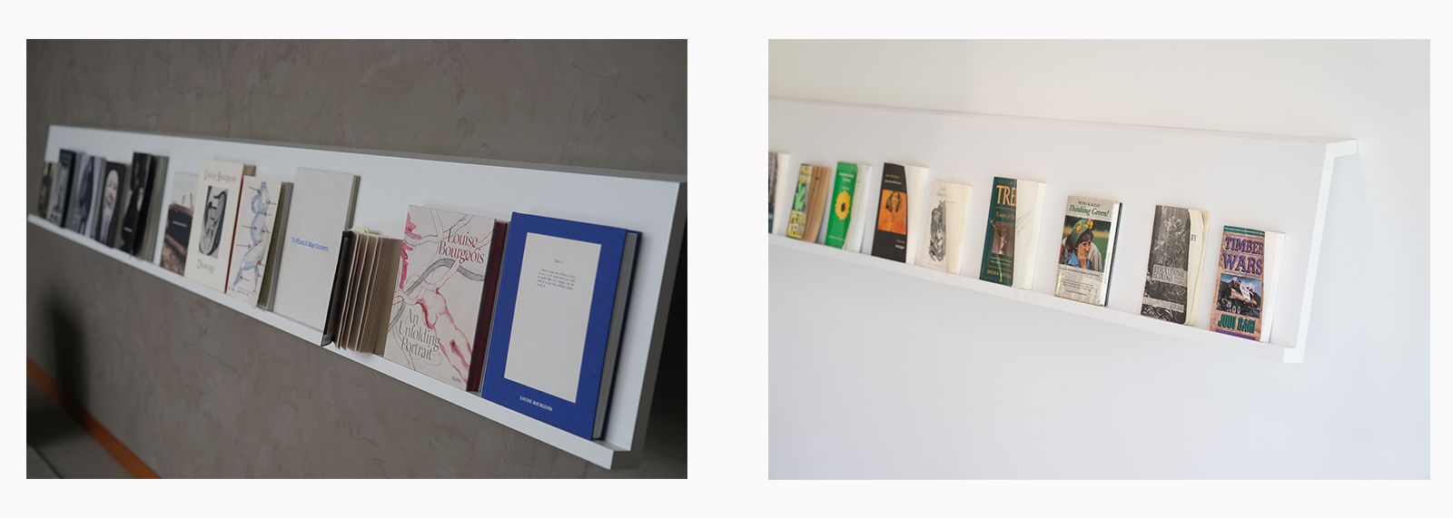 Composite for Bowers Article Shelves crop