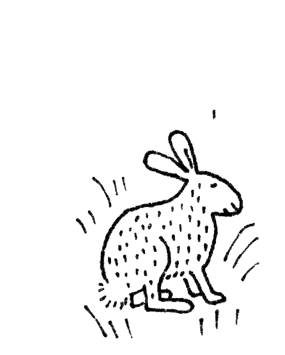 Black line drawing of a rabbit shown in profile.