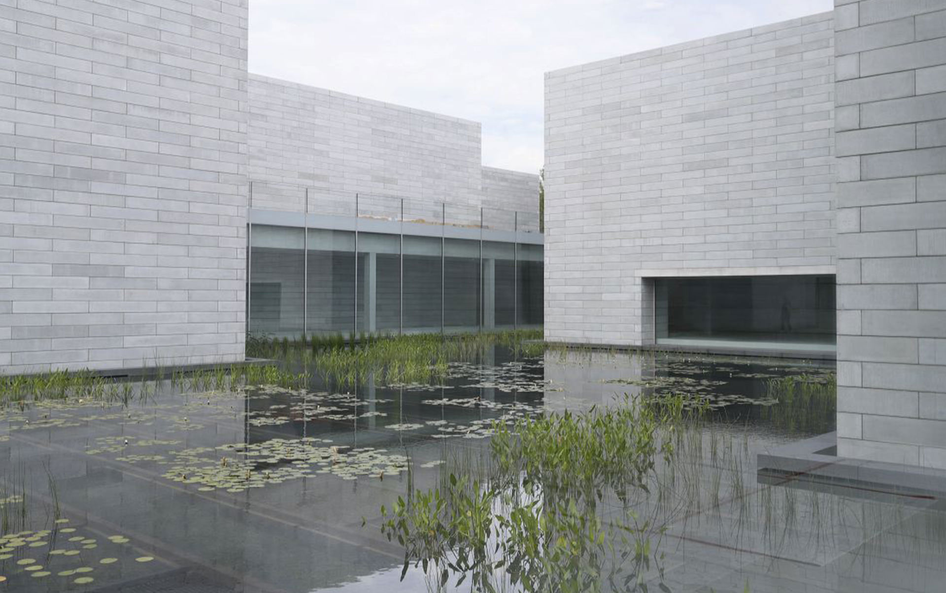 A rectangular concrete and glass strcuture is foregroudned by a pond with lilies and greenery.