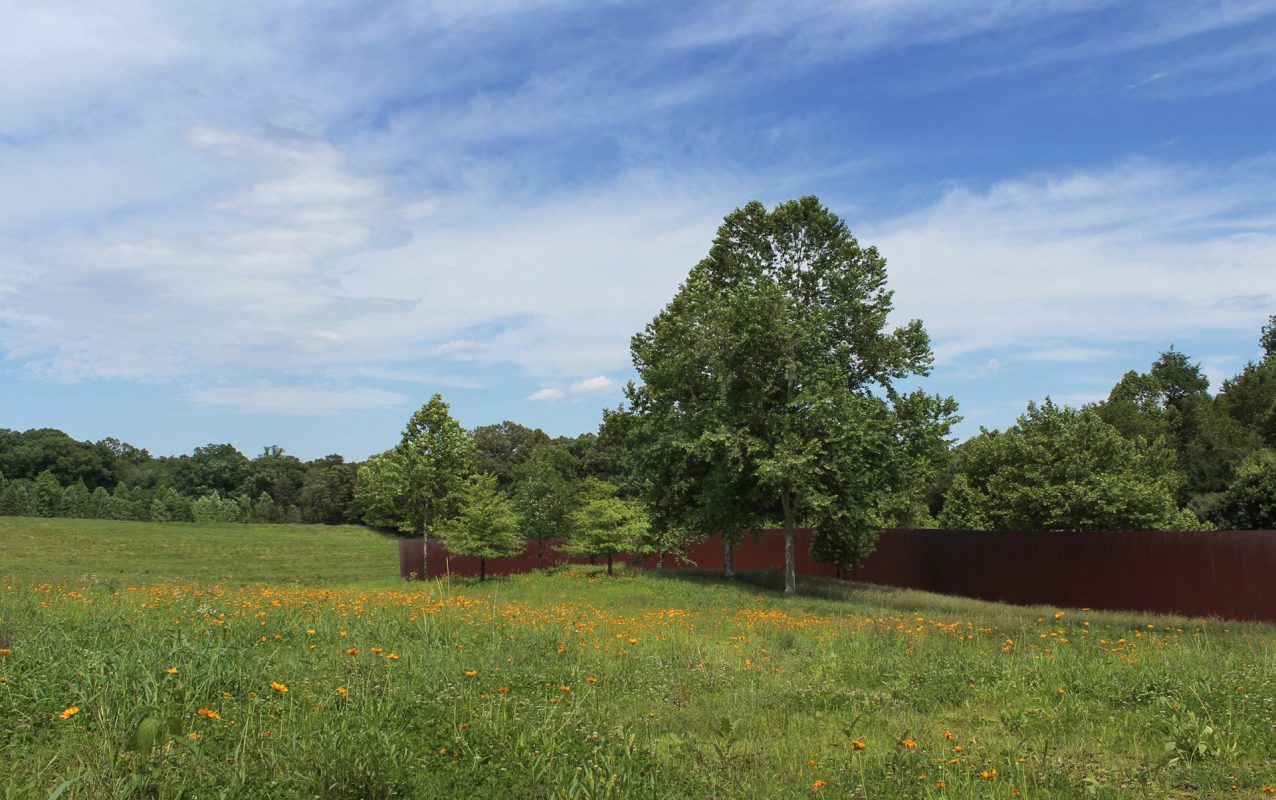 A lush meadow in the foreground contains bright orange flowers. Large green trees are present in the middle ground in front of a long rust-colored steel wall.