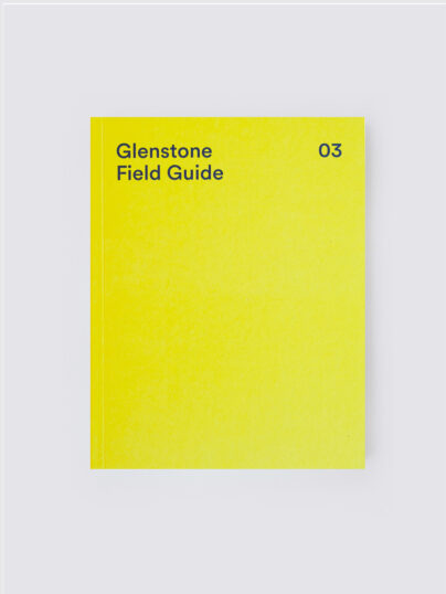 A yellow book titled Glenstone Field Guide 03 sits on a white background.